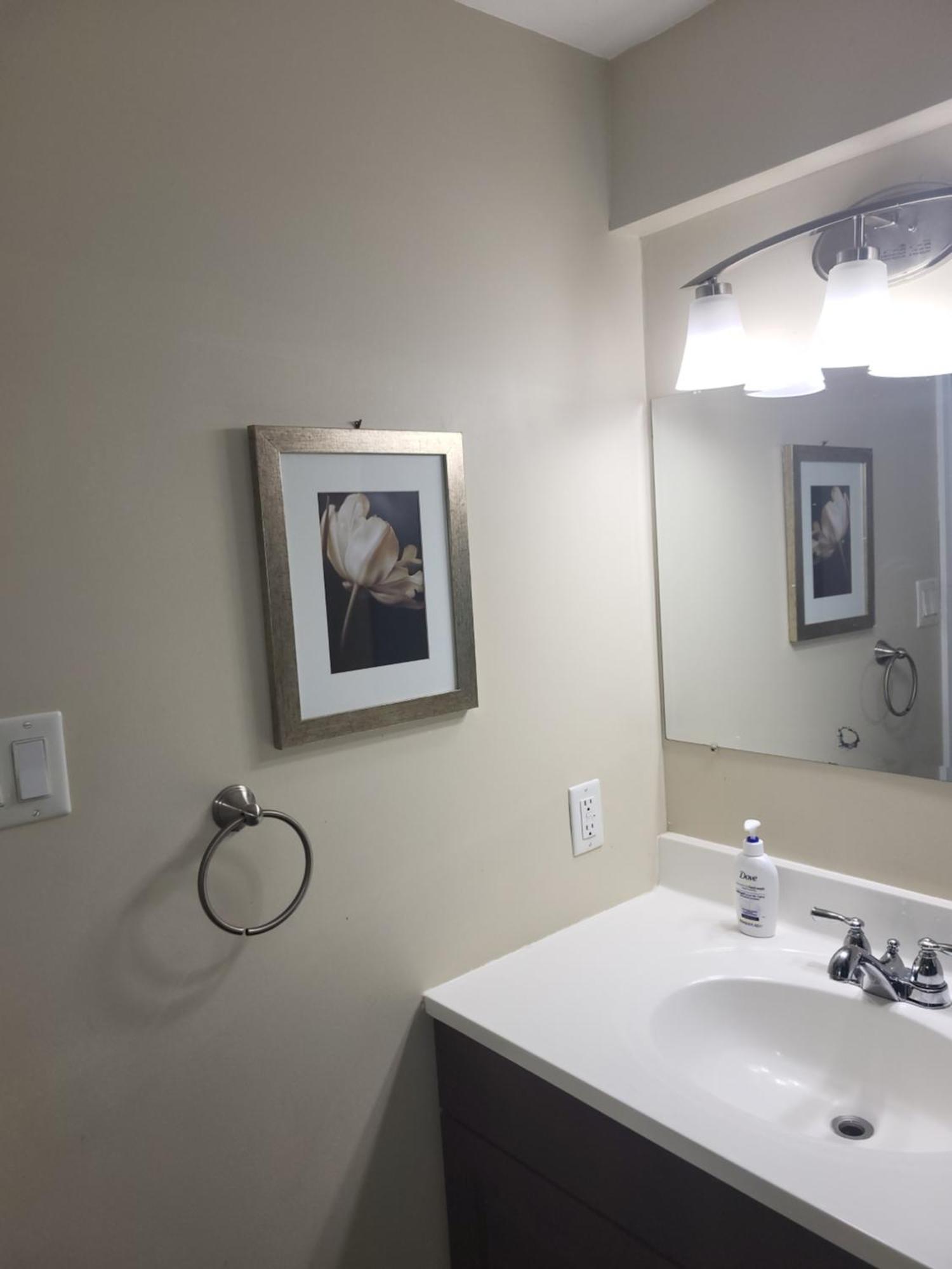 Lovely Guest Entire Apartment Minutes From Ottawa Airport מראה חיצוני תמונה